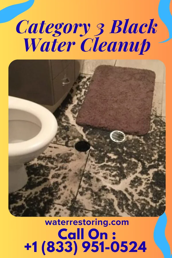 Category 3 Black Water Cleanup in Rockville, IN